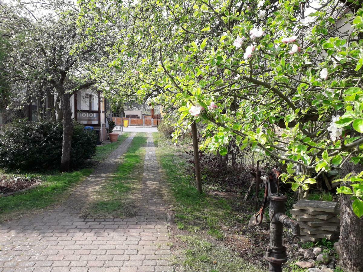 Ferienhaus Gartentraum 라인스베르크 외부 사진